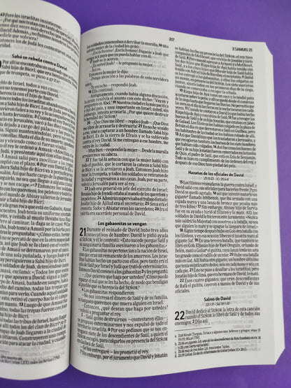 Biblia nvi rustica circulos