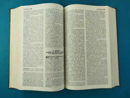 Biblia De América