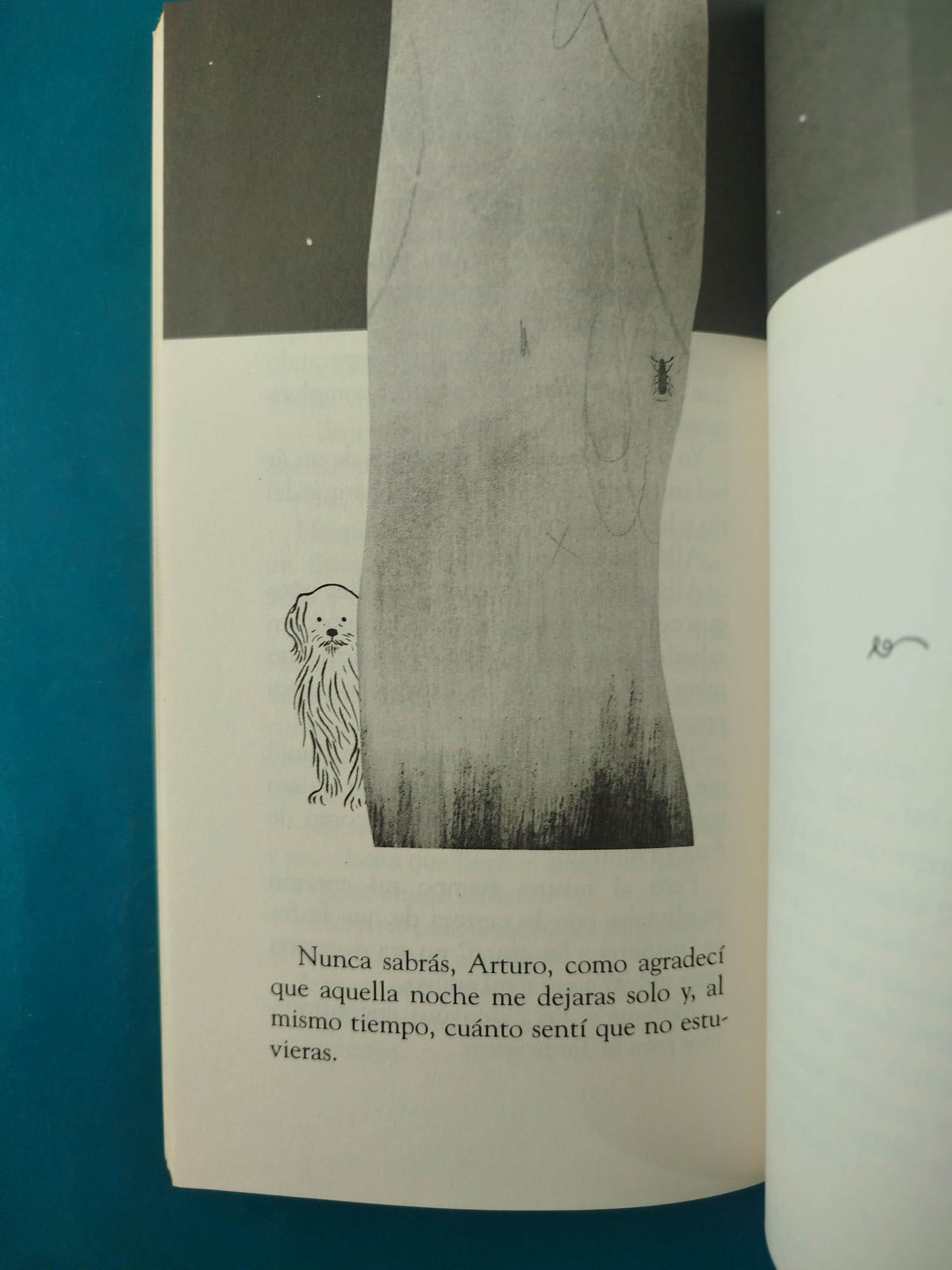 El príncipe de las pulgas by Cristina Rebull