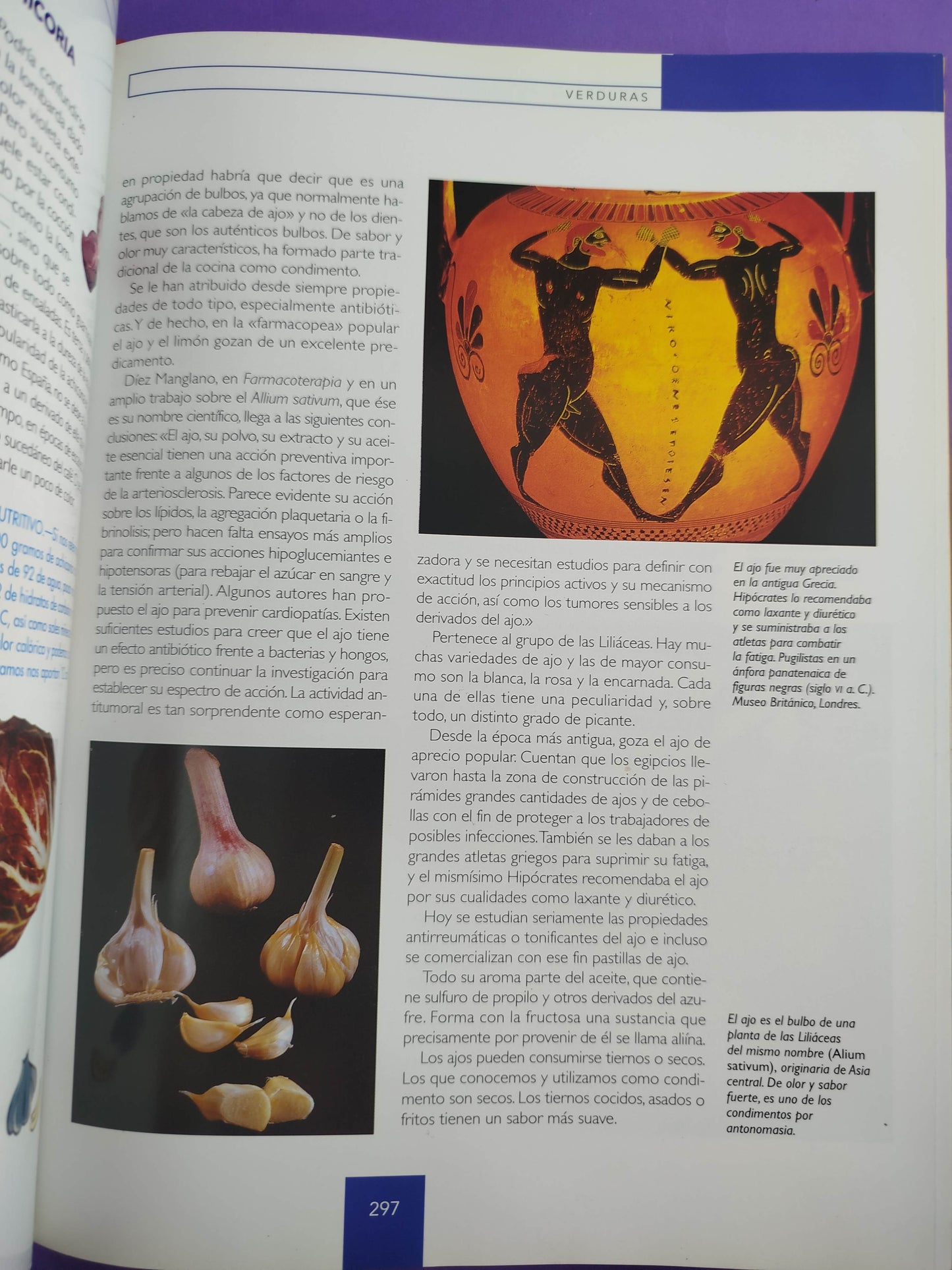 Enciclopedia de la Nutricion 2do Tomo by Ramon Sánchez Ocaña