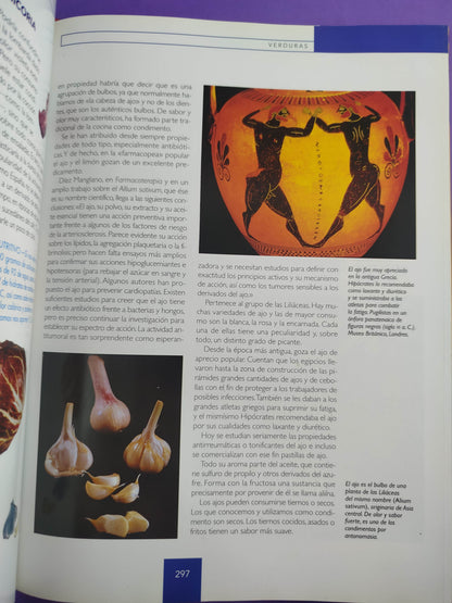 Enciclopedia de la Nutricion 2do Tomo by Ramon Sánchez Ocaña