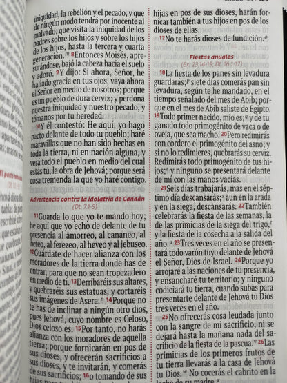 Biblia RVR 1960 negra, canto plateado letra grande by Reina Valera 1960