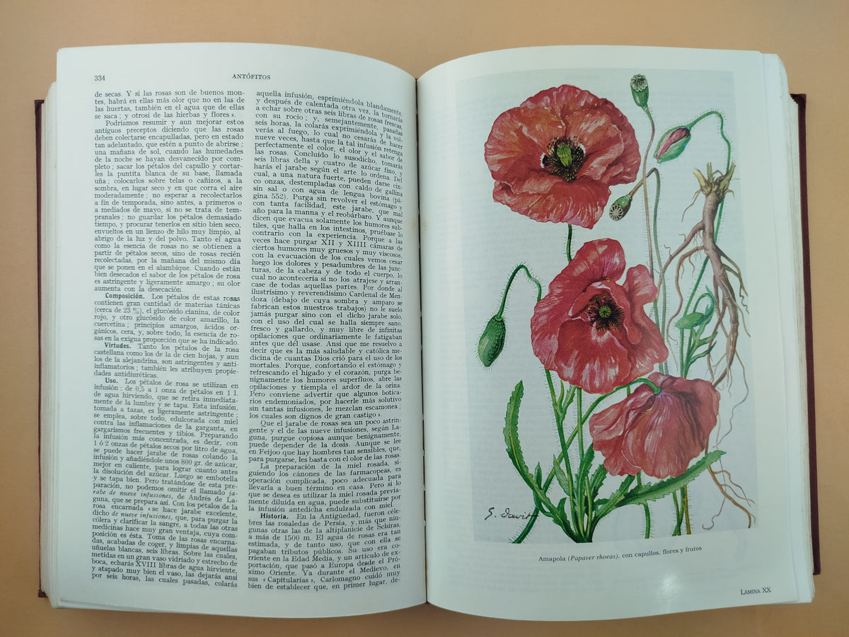 Plantas medicinales : El dioscórides renovado by Pío Font Quer.
