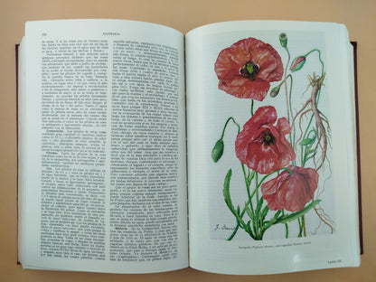 Plantas medicinales : El dioscórides renovado