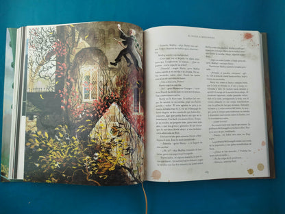 Harry Potter Y La Piedra Filosofal