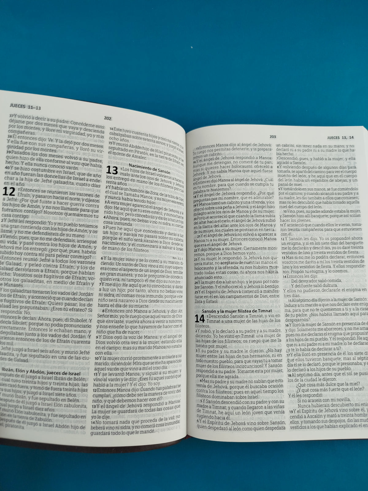 Biblia rvr 1960 tipo agenda café by Reina Valera 1960
