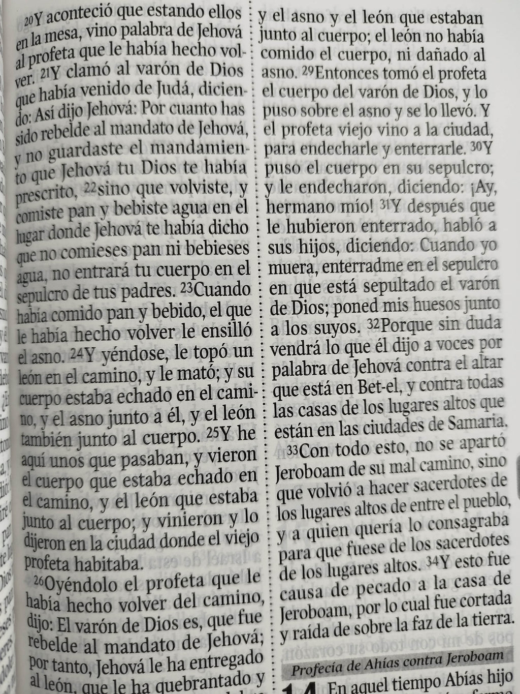 Biblia rvr 1960 letra gigante con forro rosado-verde menta by Reina Valera 1960