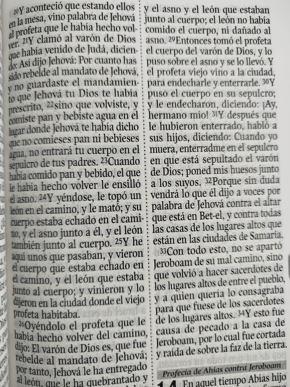 Biblia rvr 1960 letra gigante con forro rosado-verde menta by Reina Valera 1960