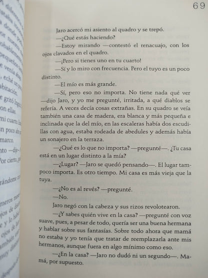 La chica espejo by Alina Bronsky