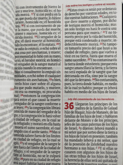 Biblia RVR 1960 azul oscuro, canto plateado letra grande by Reina Valera 1960