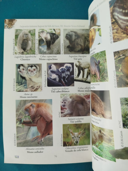 Manual para el aprovechamiento de especies silvestres y el manejo de decomisos