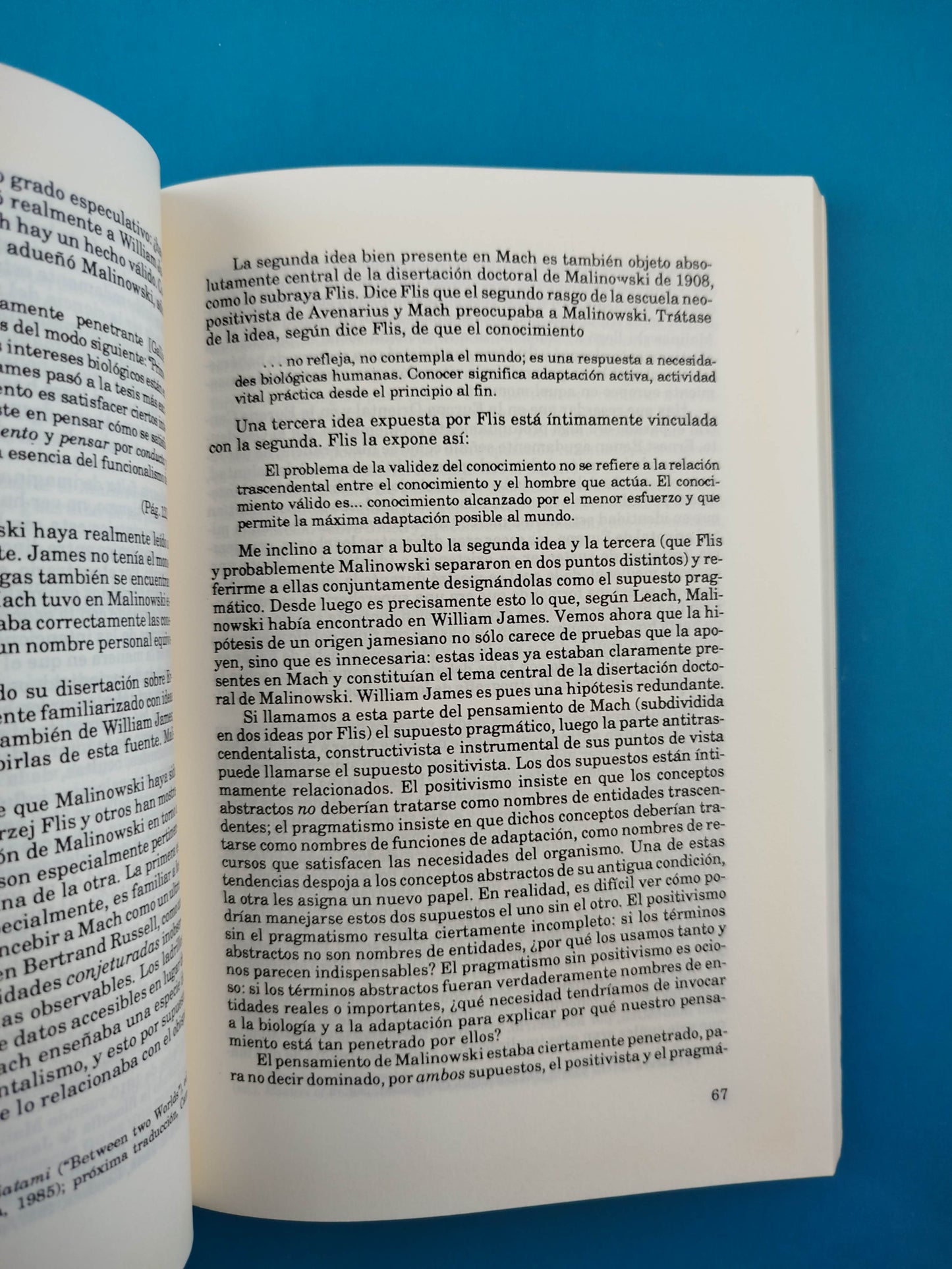 Cultura, identidad y política