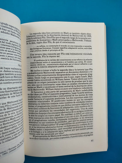 Cultura, identidad y política