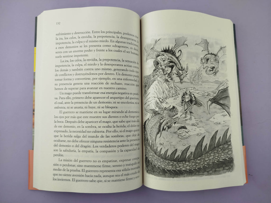 El camino del despertar by Mario Alonso Puig