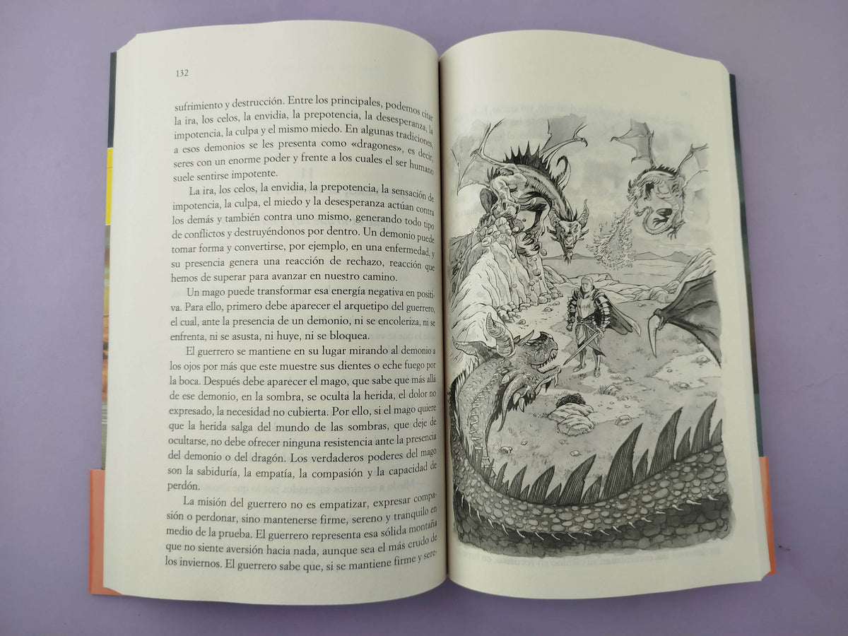 El camino del despertar by Mario Alonso Puig