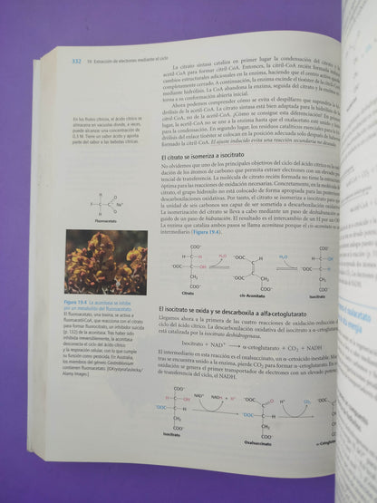 Bioquímica curso básico