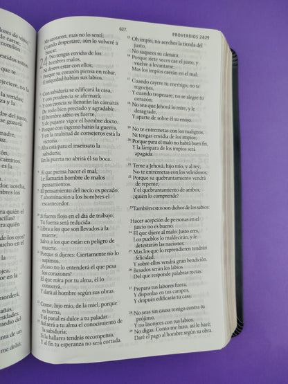 Biblia rvr 1960 letra grande tipo agenda negra sin cierre borde dorado e imágenes de la tierra santa tamaño manual