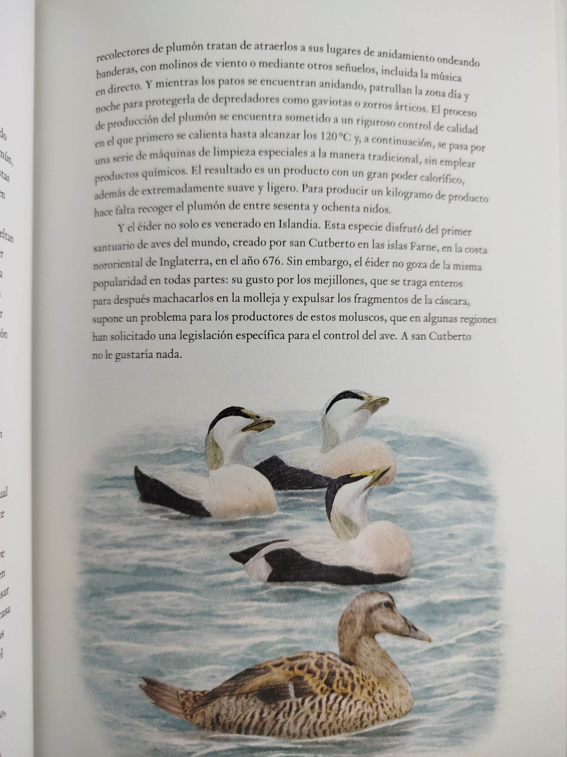 La vuelta al mundo en 80 aves by Mike Unmin