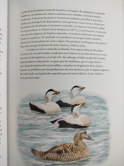 La vuelta al mundo en 80 aves by Mike Unmin