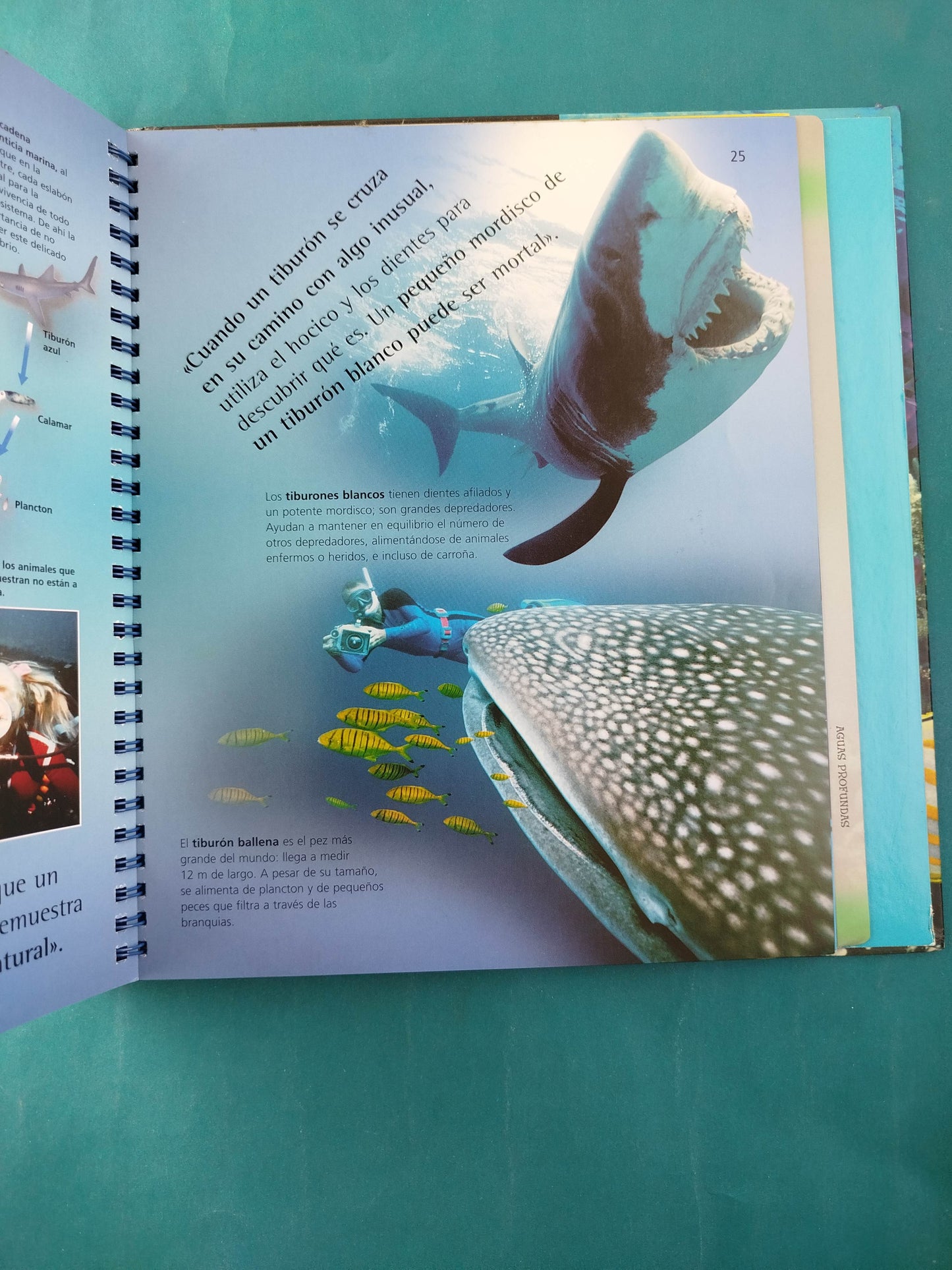 Viajes Fascinantes Océanos