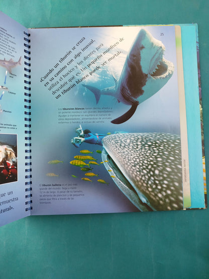 Viajes Fascinantes Océanos