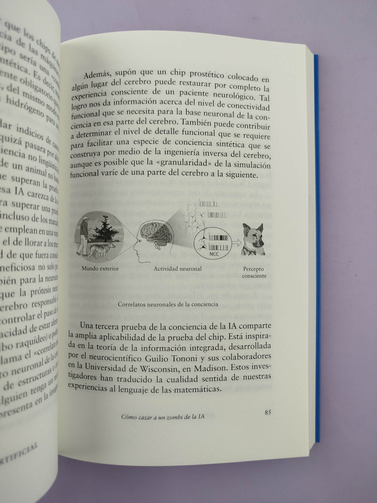 Inteligencia artificial Una exploración filosófica sobre el futuro de la mente y la conciencia by Susan Schneider