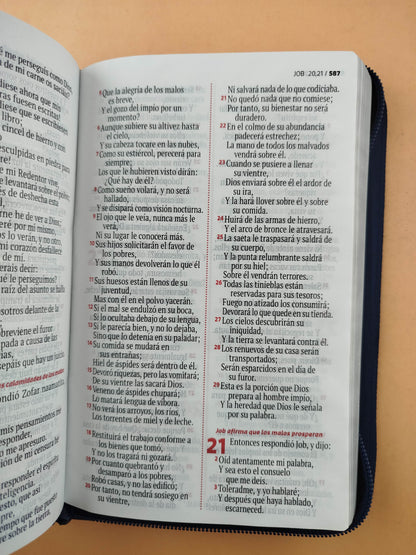Biblia rvr letra grande azul borde plateado
