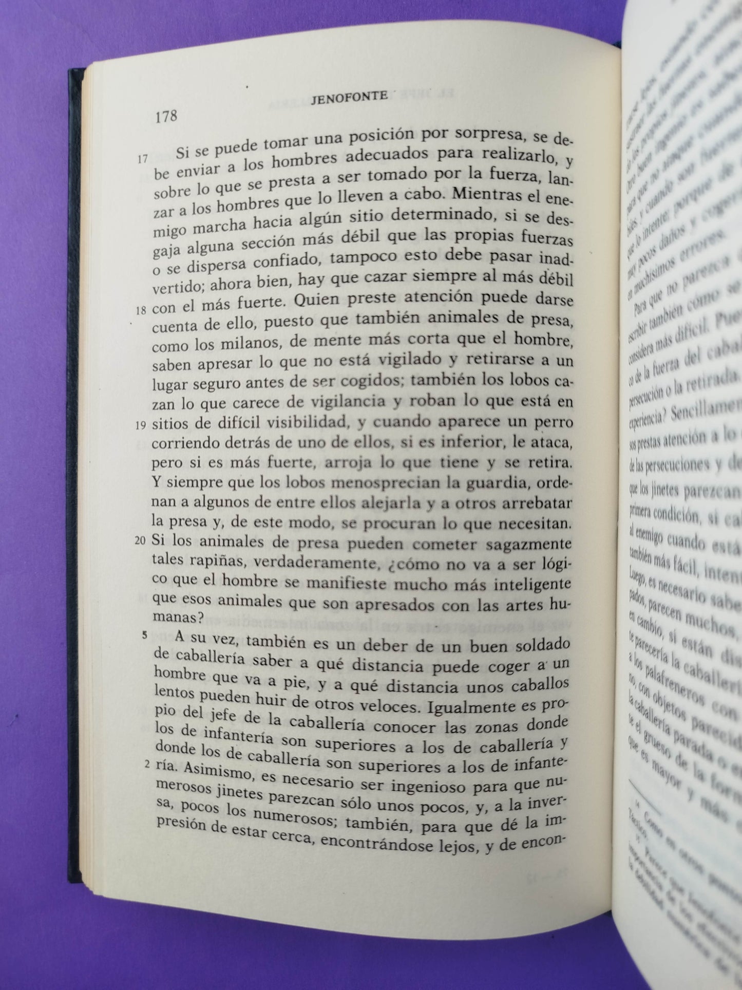 Obras menores:Hierón, Agesilao, La república de los lacedemonios, los ingresos públicos, el jefe de la caballería, de la equitación, de la casa. Pseudo Jenofonte La república de los atenienses