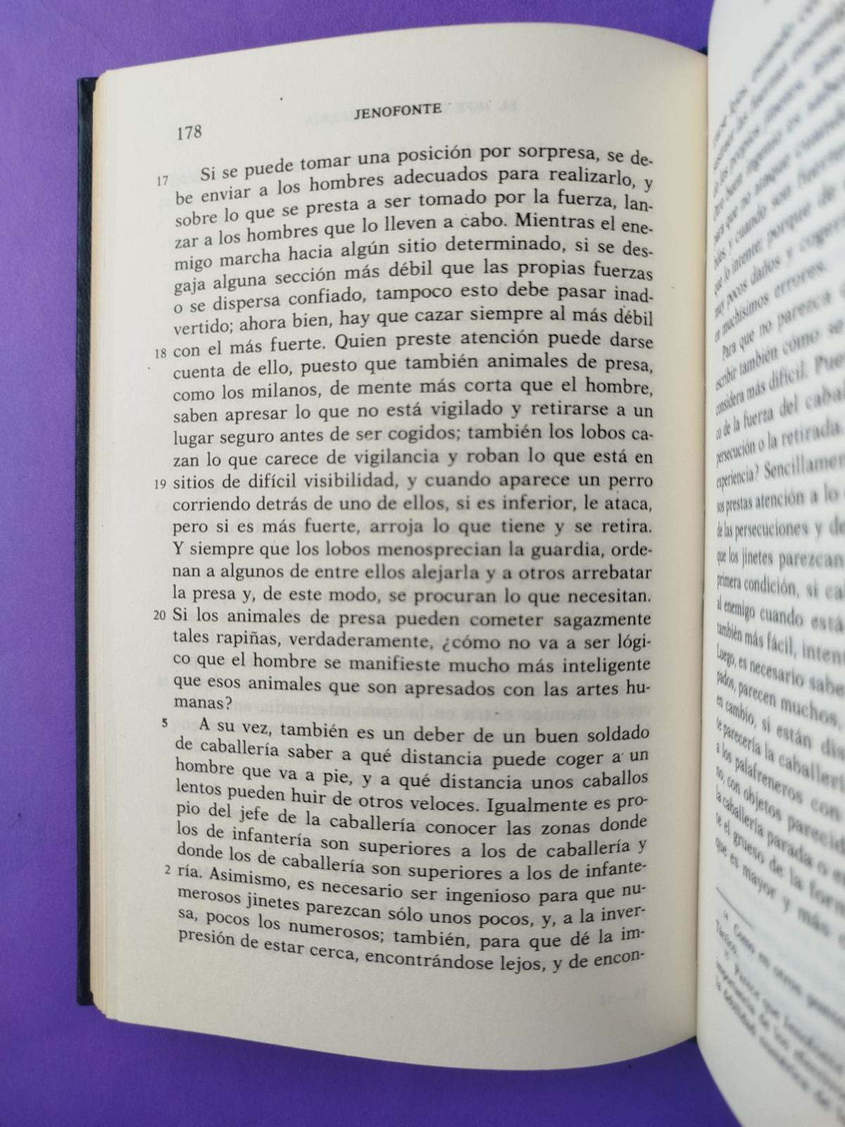Obras menores:Hierón, Agesilao, La república de los lacedemonios, los ingresos públicos, el jefe de la caballería, de la equitación, de la casa. Pseudo Jenofonte La república de los atenienses by Jenofonte