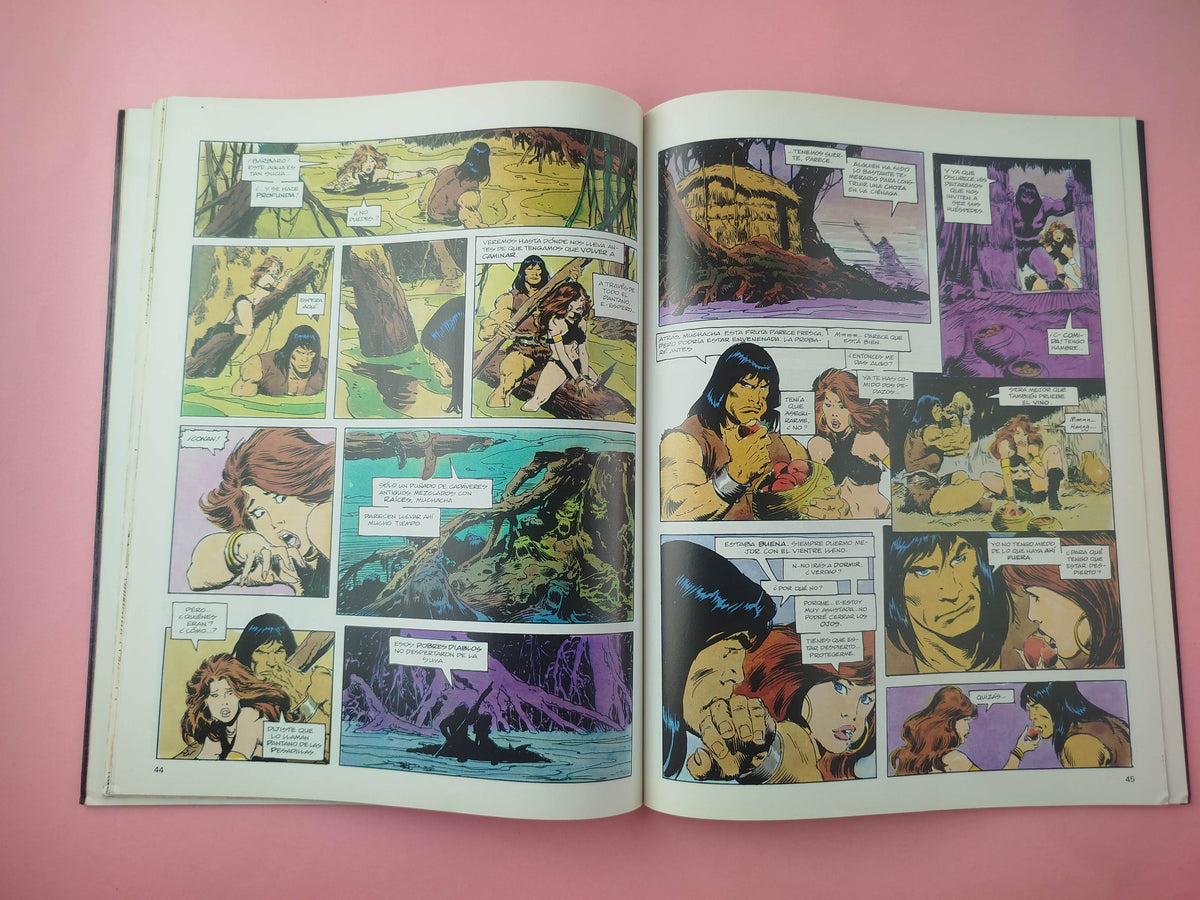 Conan el bárbaro El pícaro by John Buscema y Roy Thomas
