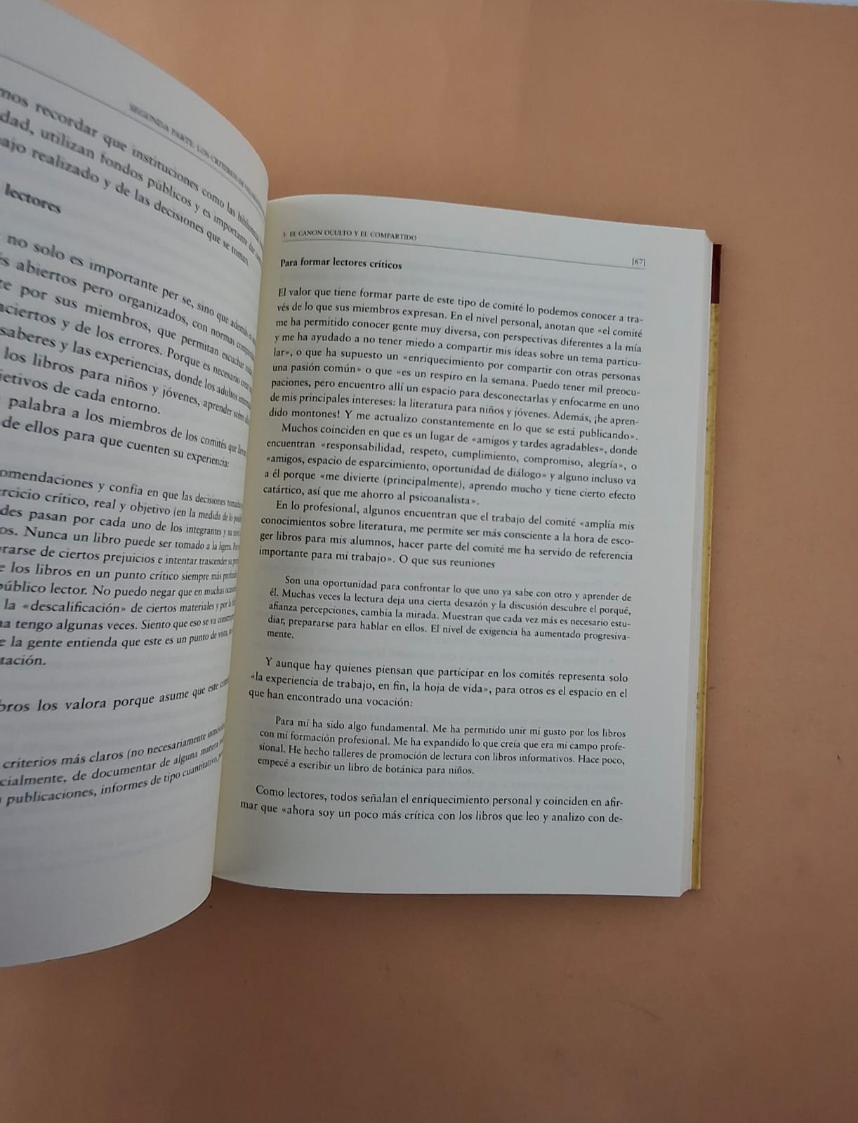 Cómo seleccionar libros para niños y jóvenes