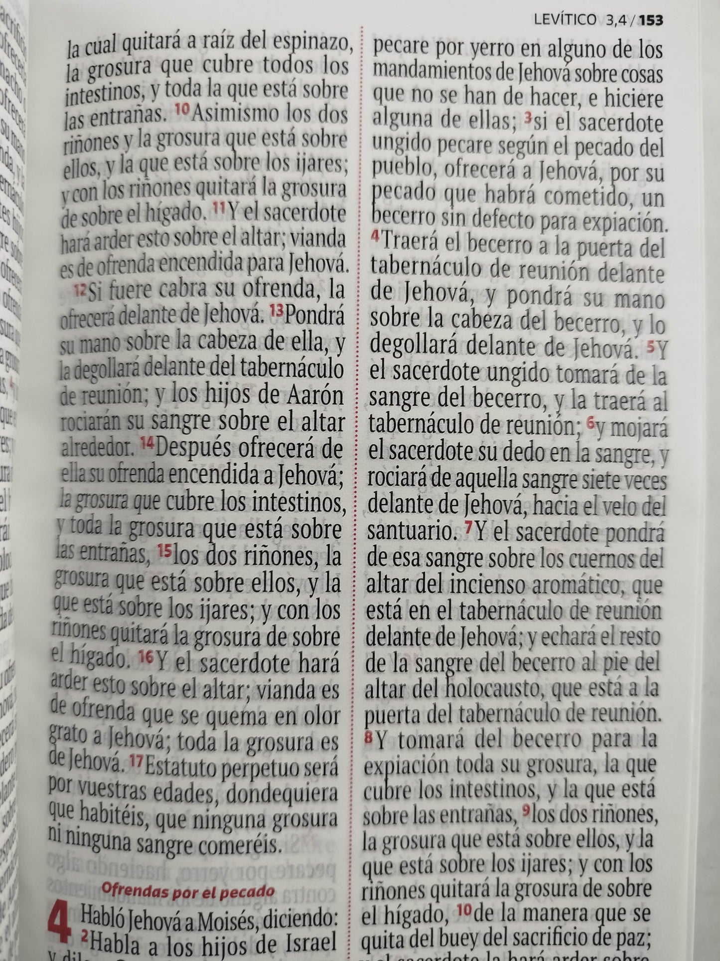 Biblia RVR 1960 letra grande blanca - flores by Reina Valera 1960