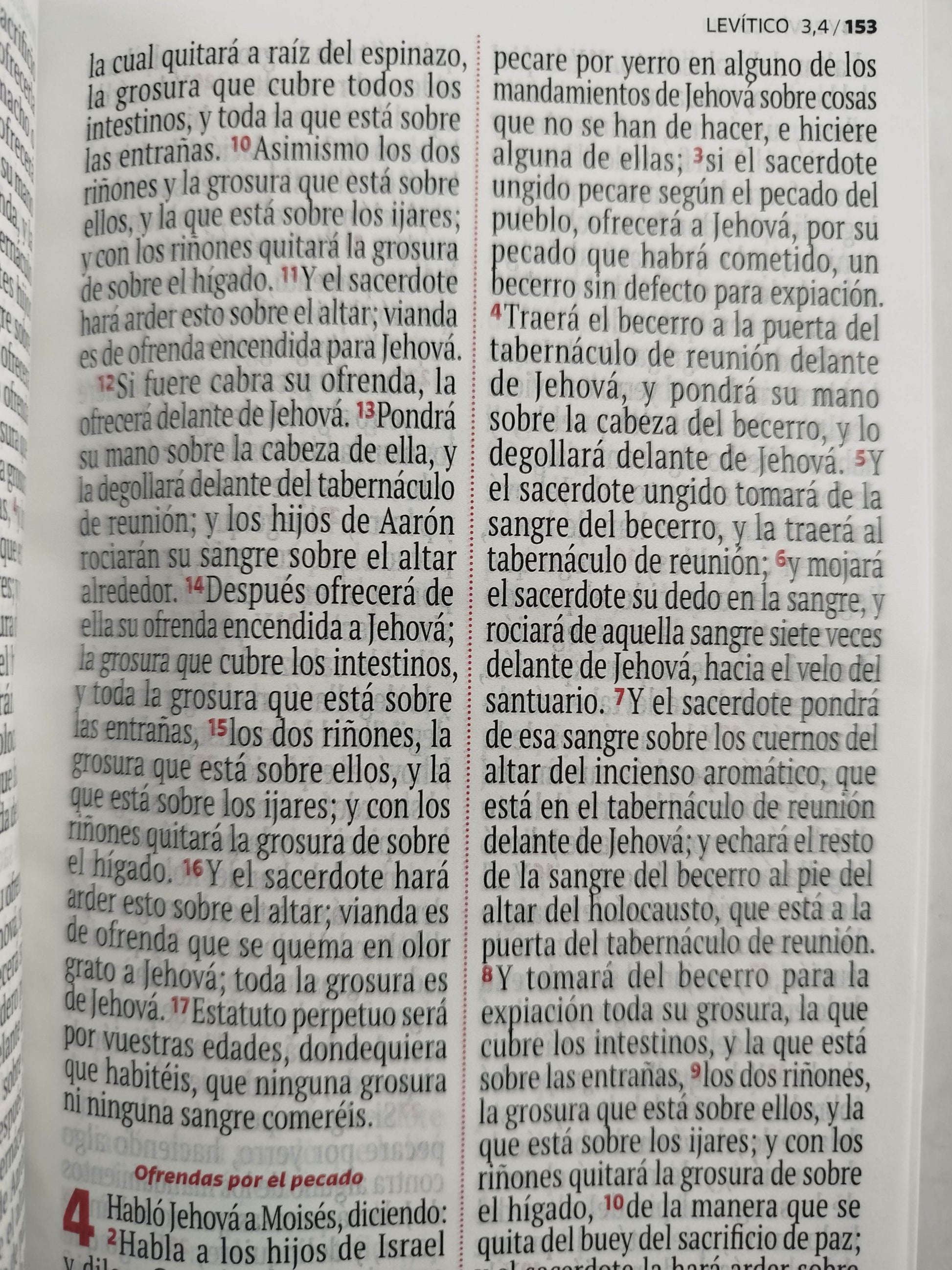 Biblia RVR 1960 letra grande blanca - flores by Reina Valera 1960