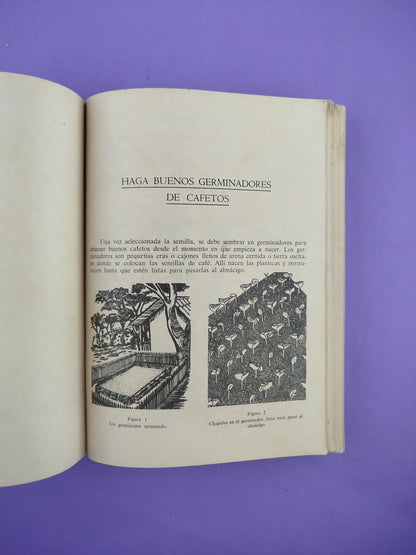 Manual Del Cafetero Colombiano