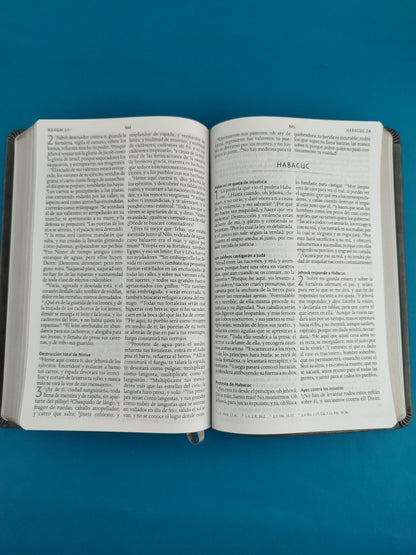 Biblia rvr 1960 letra grande tipo agenda gris sin cierre borde dorado e imágenes de la tierra santa tamaño manual