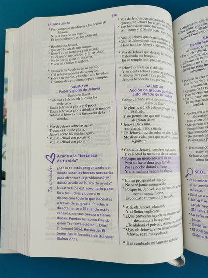 Biblia de una joven conforme al corazón de Dios pasta dura