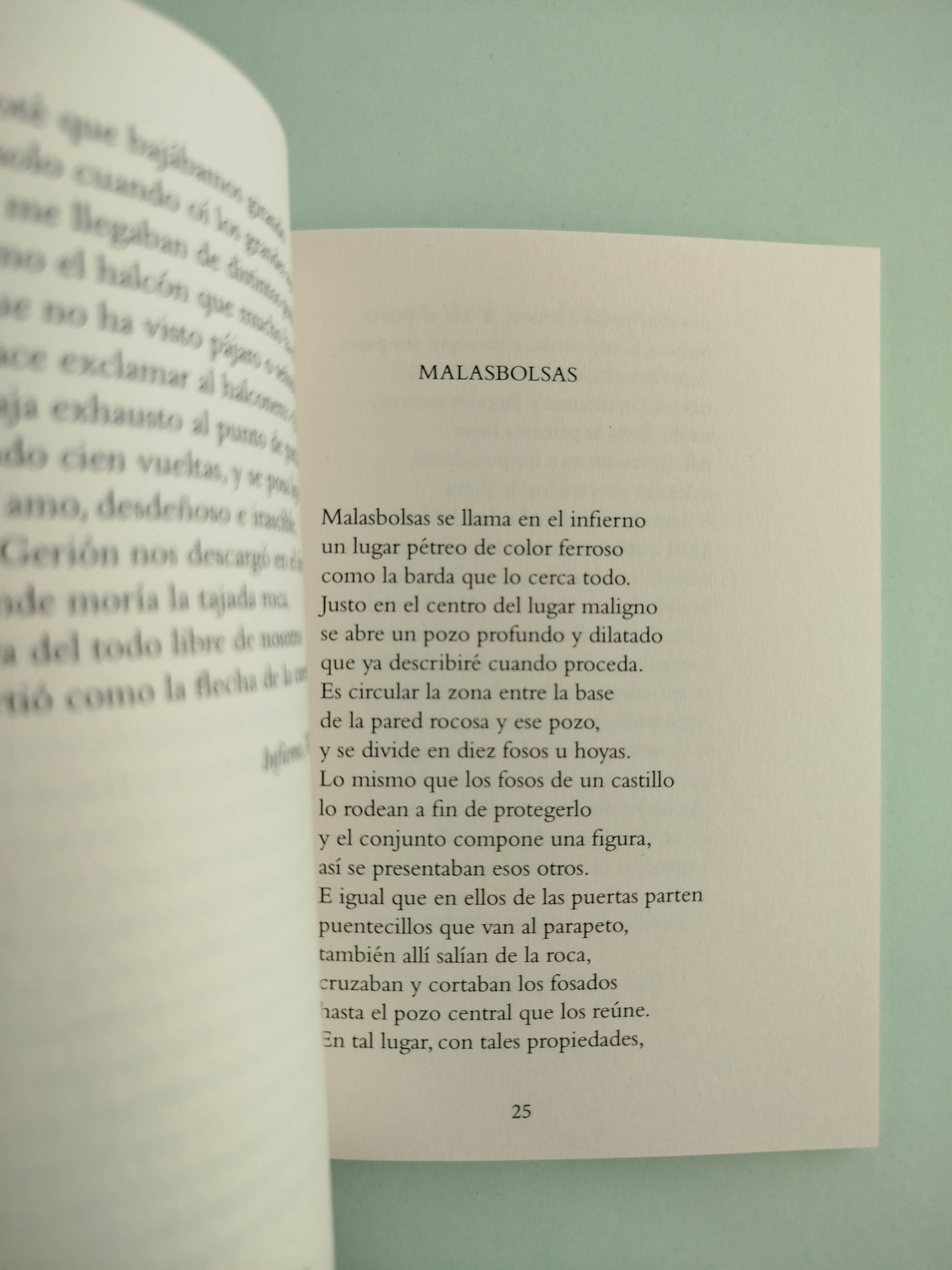 Mediado ya el camino de la vida by Dante Alighieri