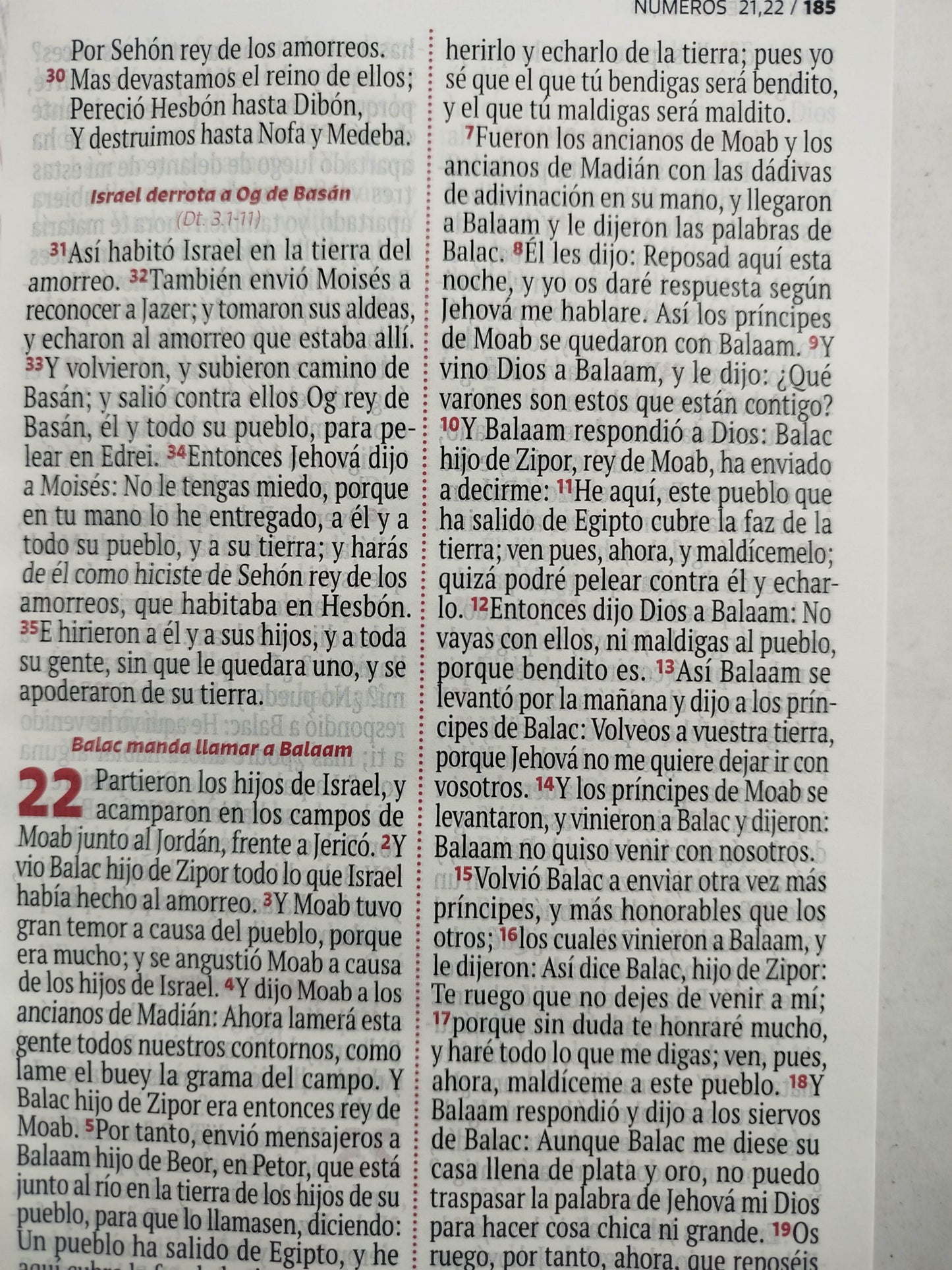 Biblia RVR 1960 letra grande lila - blanco by Reina Valera 1960