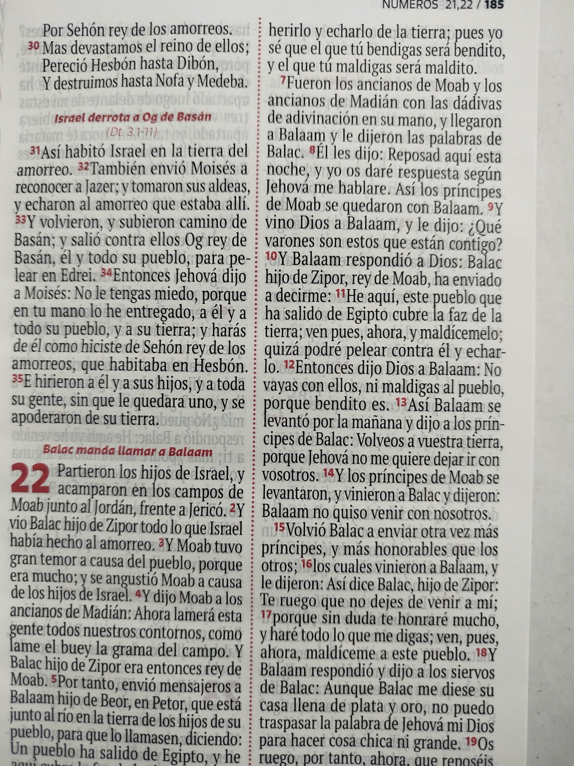 Biblia RVR 1960 letra grande lila - blanco by Reina Valera 1960