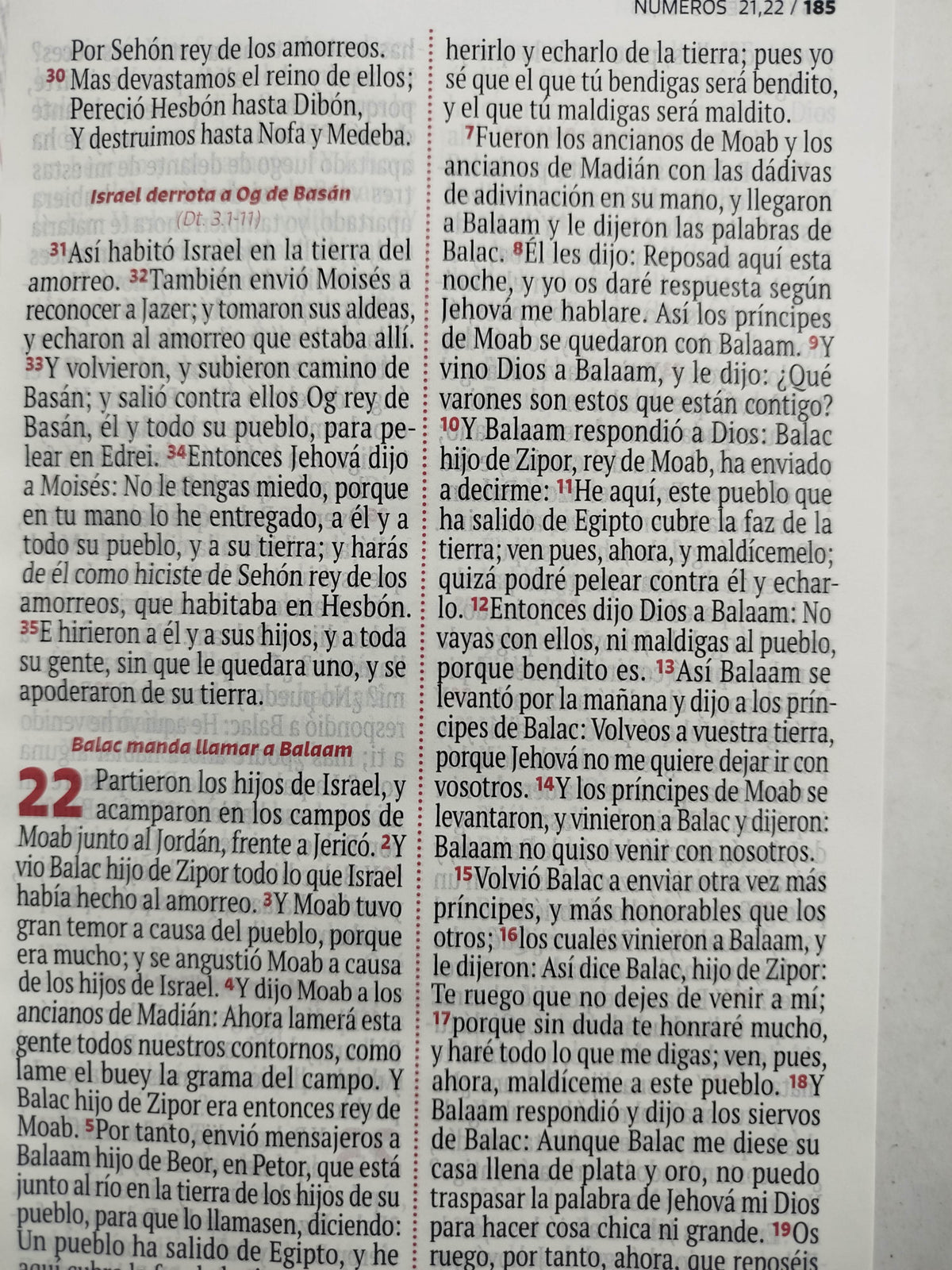 Biblia RVR 1960 letra grande lila - blanco by Reina Valera 1960
