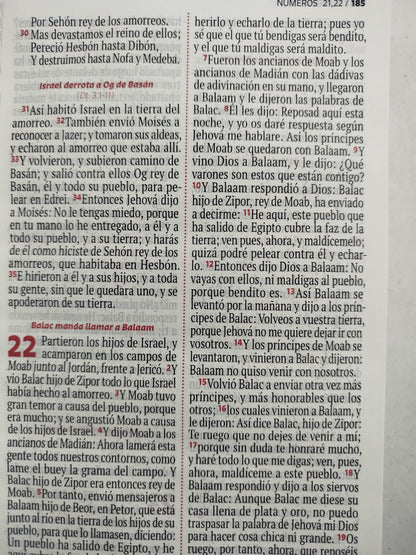 Biblia RVR 1960 letra grande lila - blanco by Reina Valera 1960