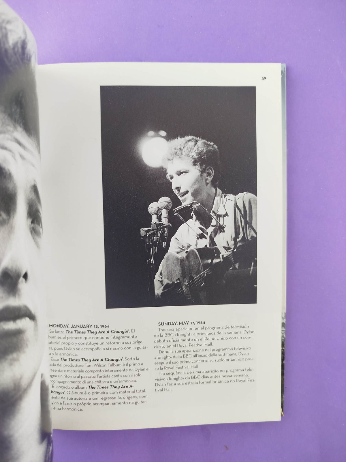 Music Icons Dylan by Luke Crampton