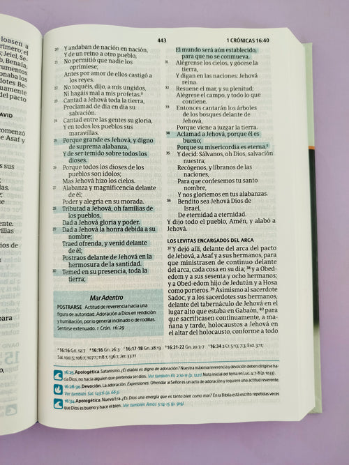 Biblia del pescador letra grande by Reina Valera 1960