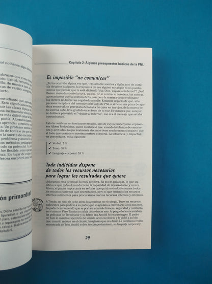 Pnl Para Dummies