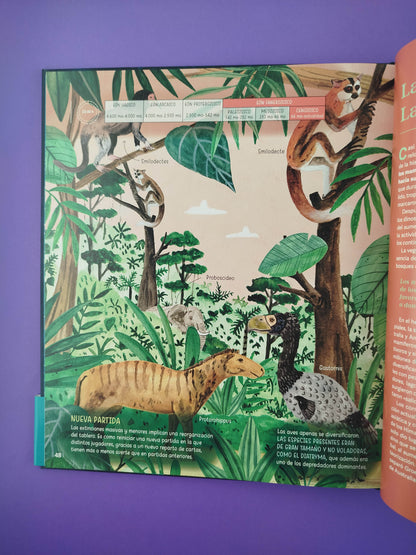 La historia más fascinante del mundo