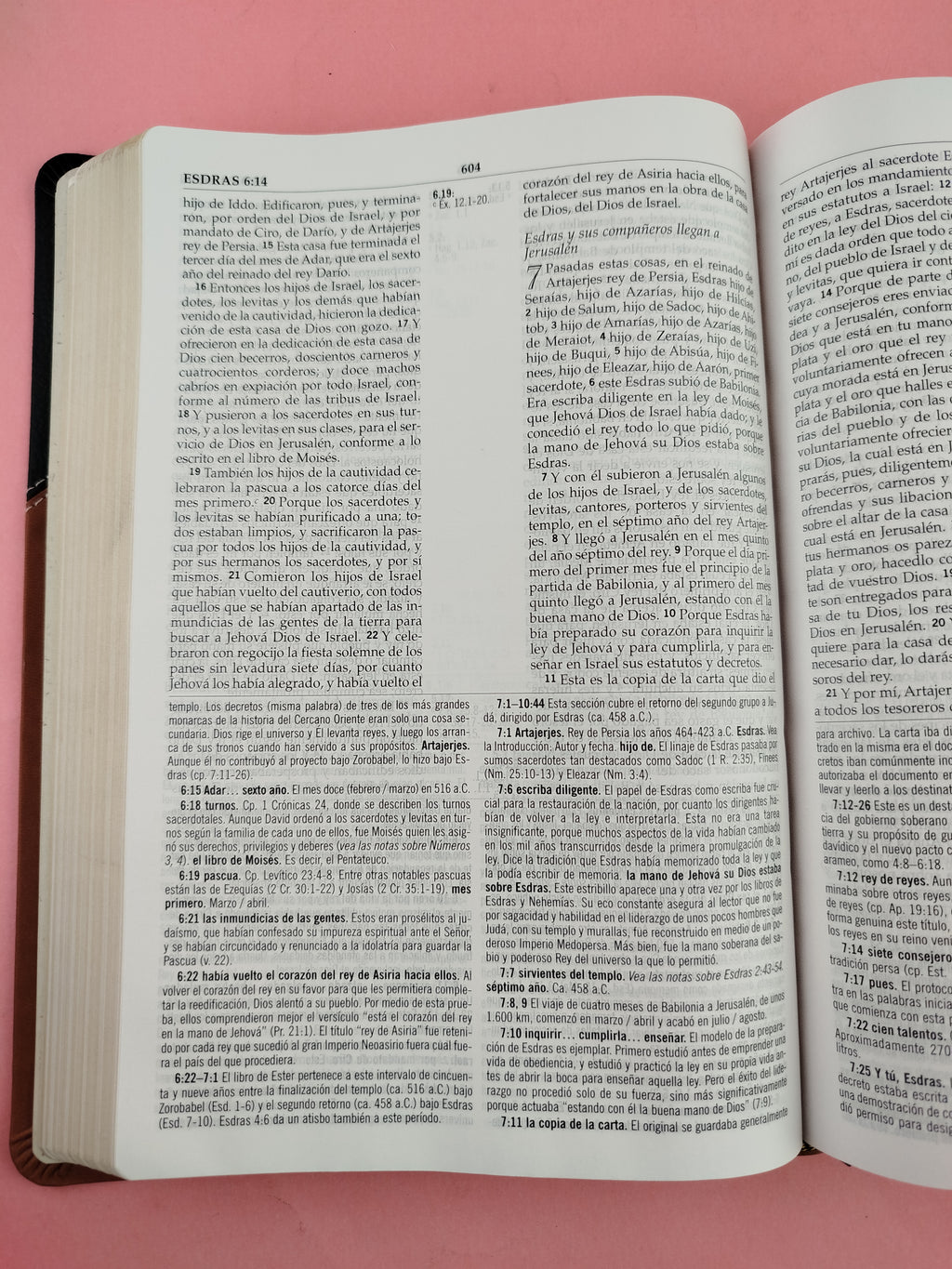Biblia De Estudio Macarthur De Lujo Dos Tonos by libreriatroya.com