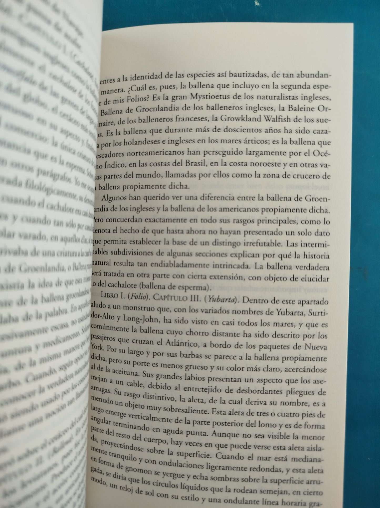 Moby dick by Herman Melville