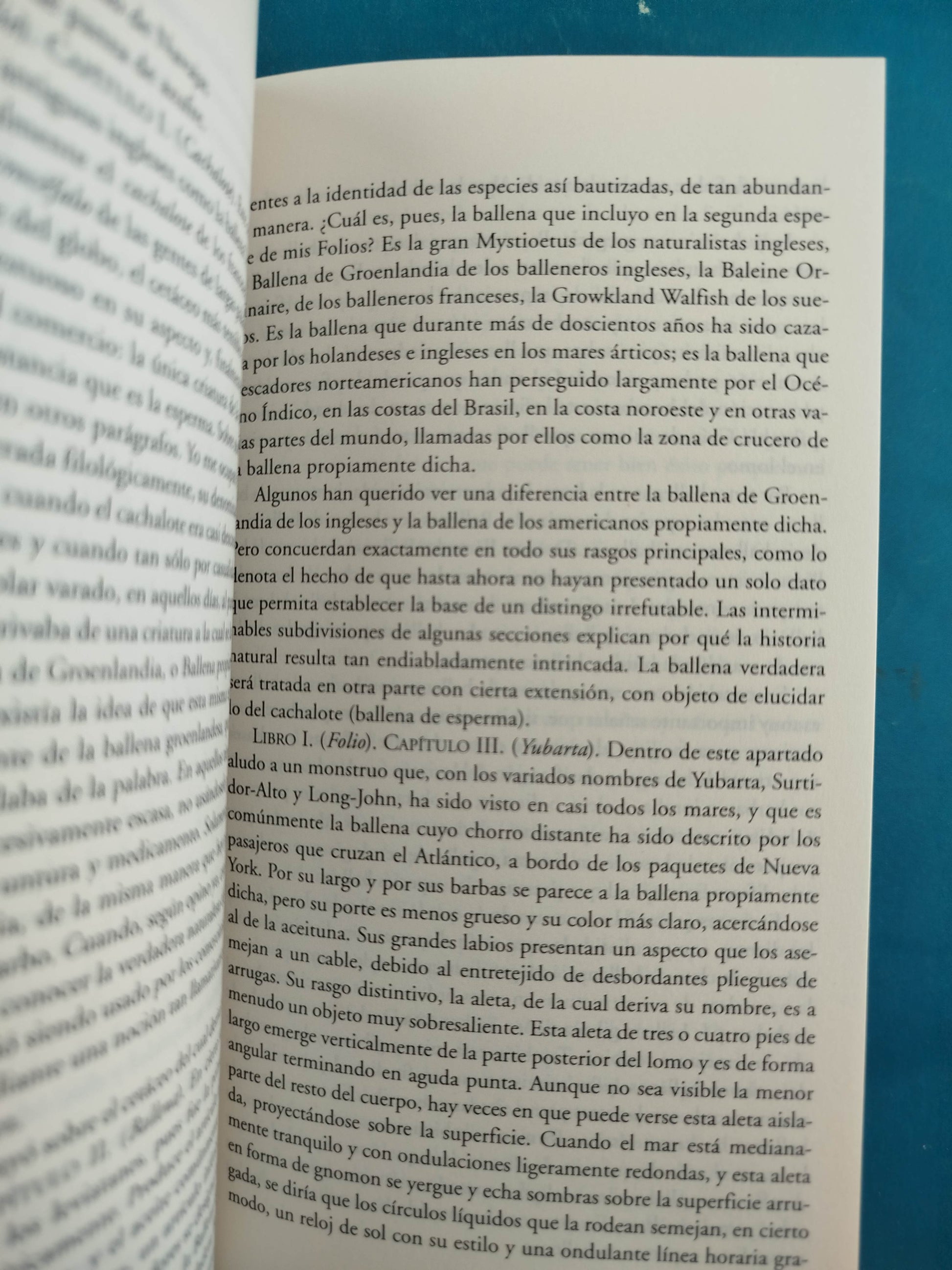 Moby dick by Herman Melville
