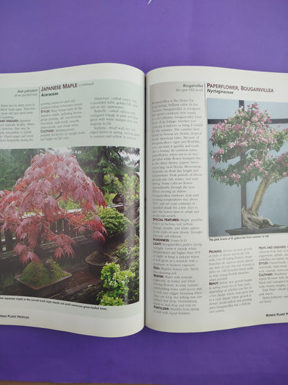 All About Bonsai