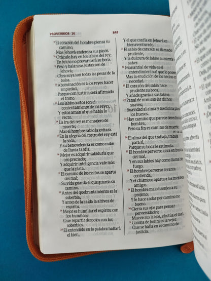 Biblia troquelada naranja beige borde dorado